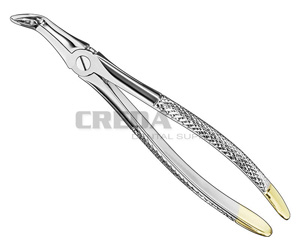 Extracting forceps, engl.