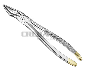 Extracting forceps, engl.