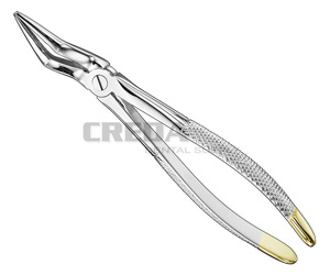 Extracting forceps, engl.