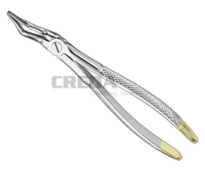 Extracting forceps, engl.