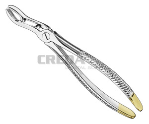 Extracting forceps, engl.