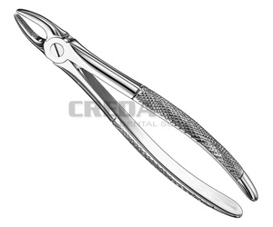 Extracting forceps, engl.