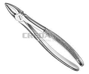 Extracting forceps, engl.