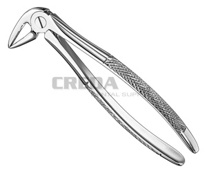 Extracting forceps, engl.