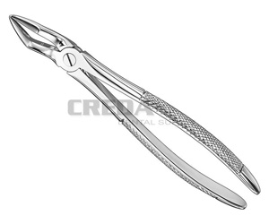 Extracting forceps, engl.