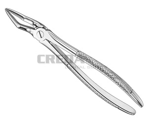 Extracting forceps, engl.