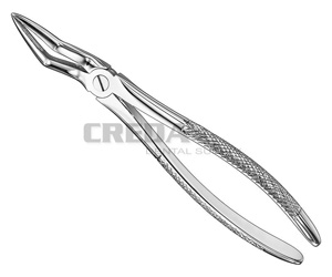 Extracting forceps, engl.