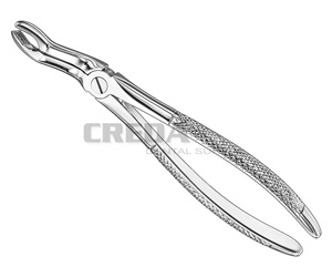 Extracting forceps, engl.