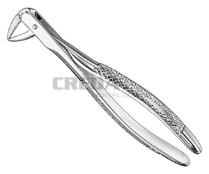 Extracting forceps, engl.