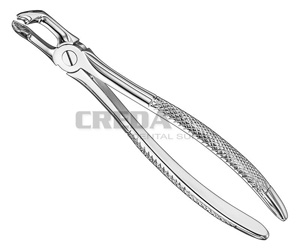 Extracting forceps, engl.