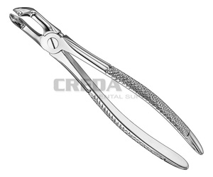 Extracting forceps, engl.