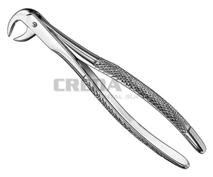 Extracting forceps, engl.