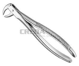 Extracting forceps, engl.