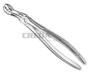 Extracting forceps, engl.