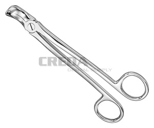 Extracting forceps, engl.