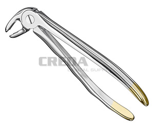 Extracting forceps, anat.