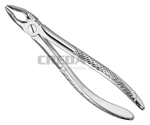 Extracting forceps, engl.