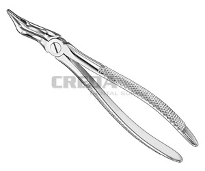 Extracting forceps, engl.