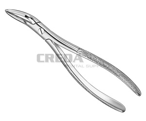 Extracting forceps, engl.