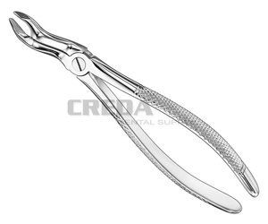 Extracting forceps, engl.