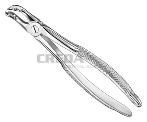 Extracting forceps, engl.