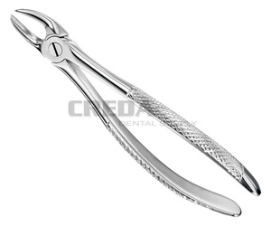 Extracting forceps, engl.