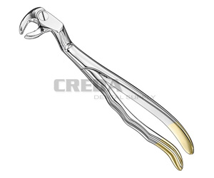 Extracting forceps, anat.