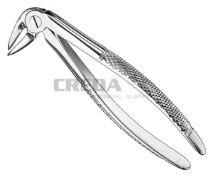 Extracting forceps, engl.