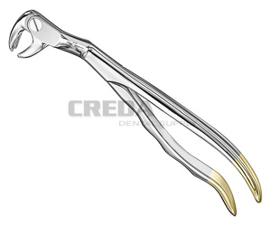 Extracting forceps, anat.