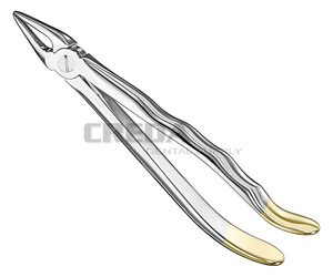 Extracting forceps, anat.