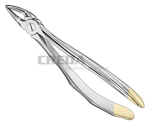 Extracting forceps, anat.