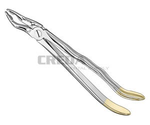 Extracting forceps, anat.