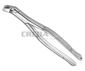 Extracting forceps, american patt.