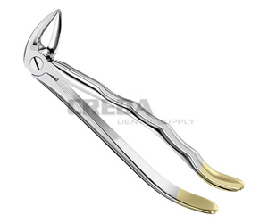 Extracting forceps, anat.