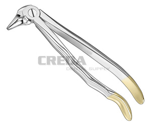 Extracting forceps, anat.