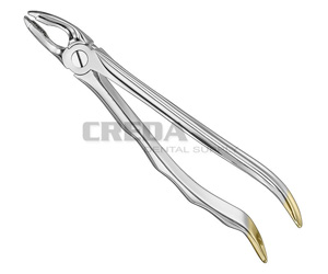 Extracting forceps, anat.