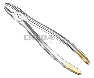 Extracting forceps, anat.