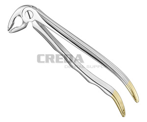 Extracting forceps, anat.