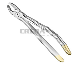 Extracting forceps, anat.