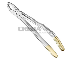 Extracting forceps, anat.