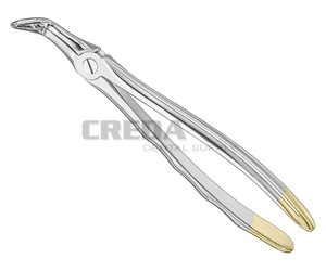 Extracting forceps, anat.