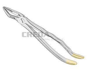 Extracting forceps, anat.