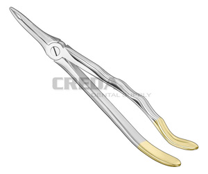 Extracting forceps, anat.