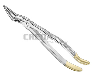 Extracting forceps, anat.