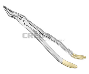 Extracting forceps, anat.