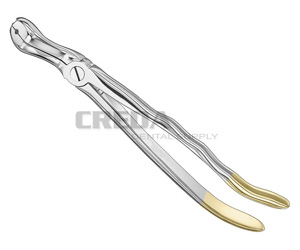 Extracting forceps, anat.