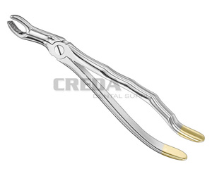 Extracting forceps, anat.