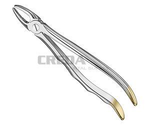 Extracting forceps, anat.