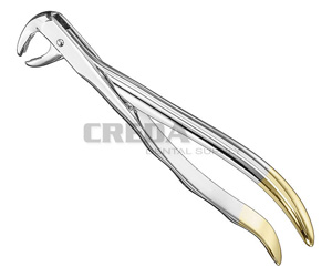 Extracting forceps, anat.