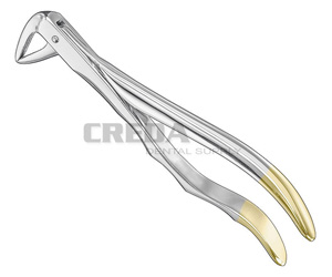 Extracting forceps, anat.